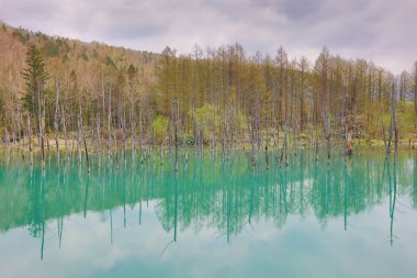 Biei, Japonya yaz aylarında alınan mavi su birikintisi