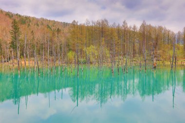 Biei, Japonya yaz aylarında alınan mavi su birikintisi