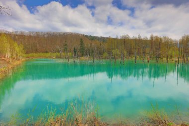 Biei, Japonya yaz aylarında alınan mavi su birikintisi