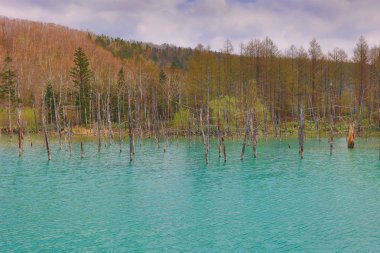 Biei, Japonya yaz aylarında alınan mavi su birikintisi