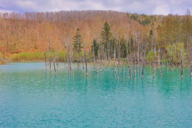 Biei, Japonya yaz aylarında alınan mavi su birikintisi