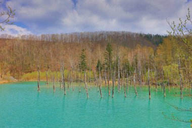 Biei, Japonya yaz aylarında alınan mavi su birikintisi