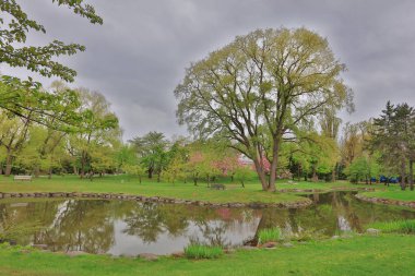 Sapporo, Japonya hokkaido Nakajima Park'ta