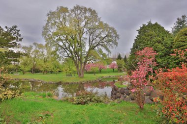 Sapporo, Japonya hokkaido Nakajima Park'ta
