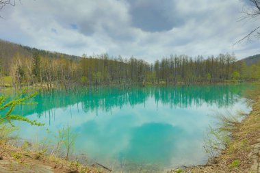 Biei 'de mavi gölet Aoas, Hokkaido