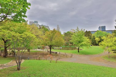 Sapporo, Japonya hokkaido Nakajima Park'ta