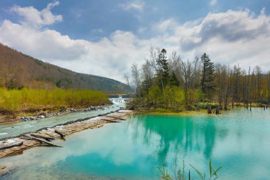 Hokkaido, Japonya Biei, mavi su birikintisi