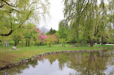 Sapporo, Japonya hokkaido Nakajima Park'ta