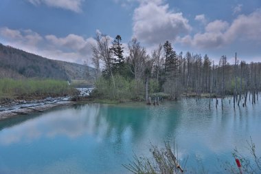 Yaz aylarında Biei alınan ational park
