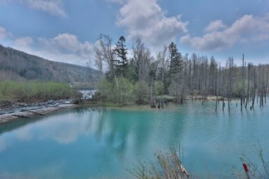 Yaz aylarında Biei alınan ational park