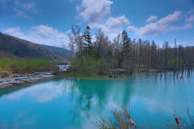 Mavi su birikintisi Aoiike Biei, Hokkaido, Japonya