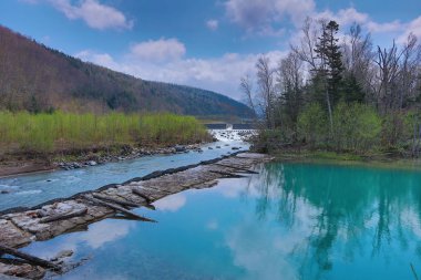 Mavi su birikintisi Aoiike Biei, Hokkaido, Japonya
