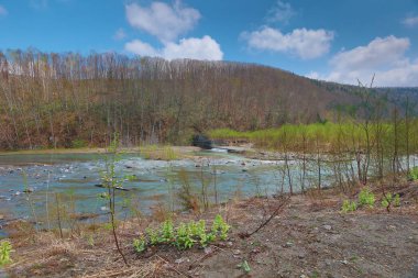 nehir, mavi su birikintisi Aoiike Biei Hokkaido Japonya