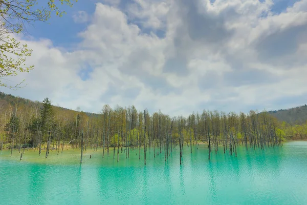 Mavi Göl Aoiike, Biei Hokkaido Japonya