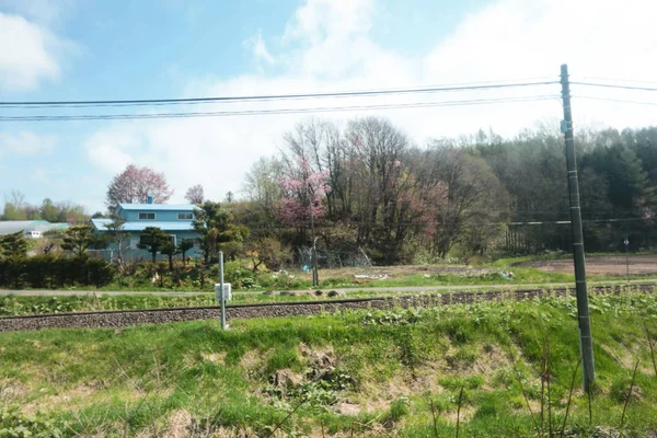 Vista de tren de Furano Line Hokkaido en Japón — Foto de Stock