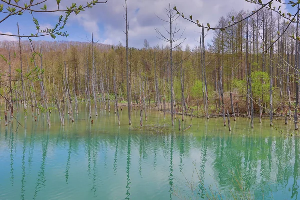 Синій ставок, зроблених під час літніх Biei, Японія — стокове фото