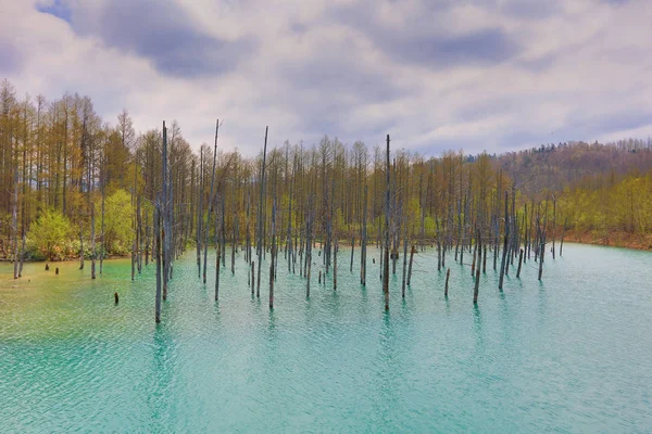 Синій ставок, зроблених під час літніх Biei, Японія — стокове фото
