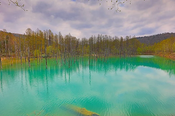 Biei, Japonya yaz aylarında alınan mavi su birikintisi