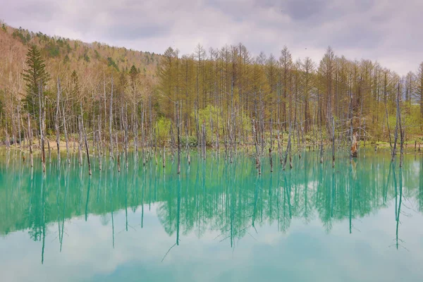 Biei, Japonya yaz aylarında alınan mavi su birikintisi