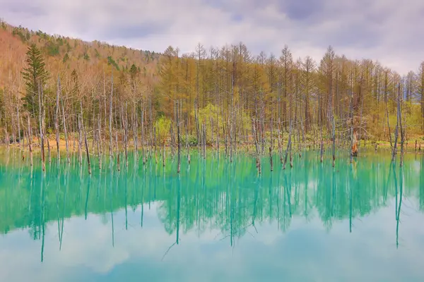 Biei, Japonya yaz aylarında alınan mavi su birikintisi