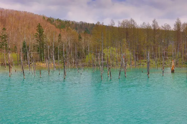 Biei, Japonya yaz aylarında alınan mavi su birikintisi