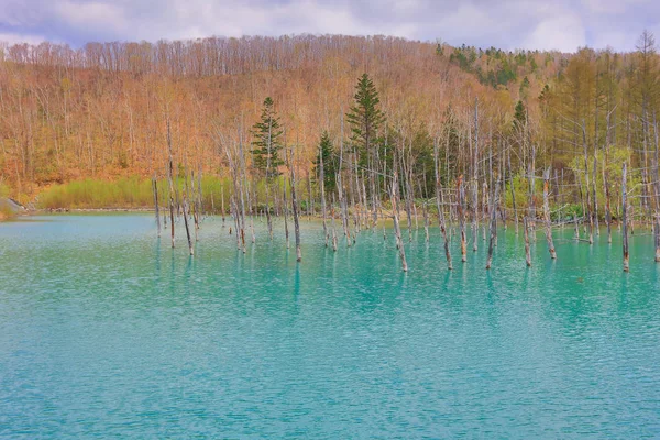 Синій ставок, зроблених під час літніх Biei, Японія — стокове фото