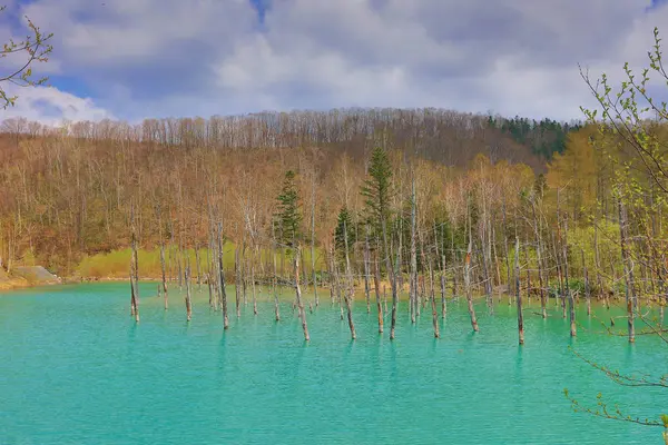 Biei, Japonya yaz aylarında alınan mavi su birikintisi
