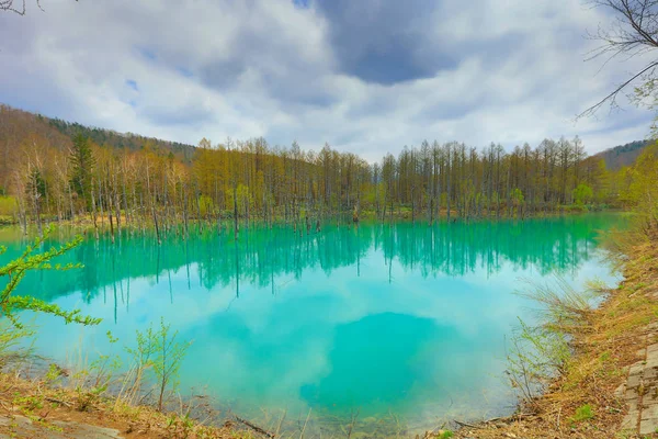 Синій ставок Aoiike в Biei, Хоккайдо — стокове фото