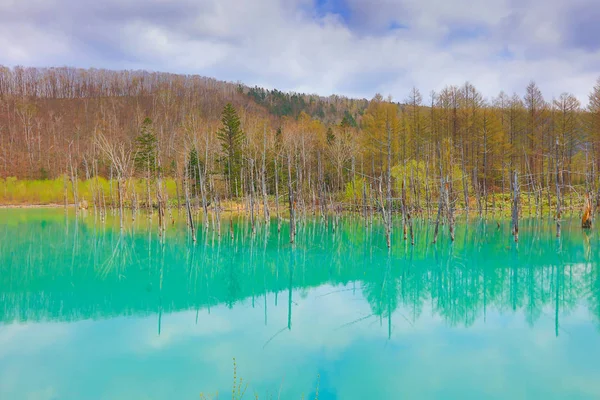 Biei 'de mavi gölet Aoas, Hokkaido