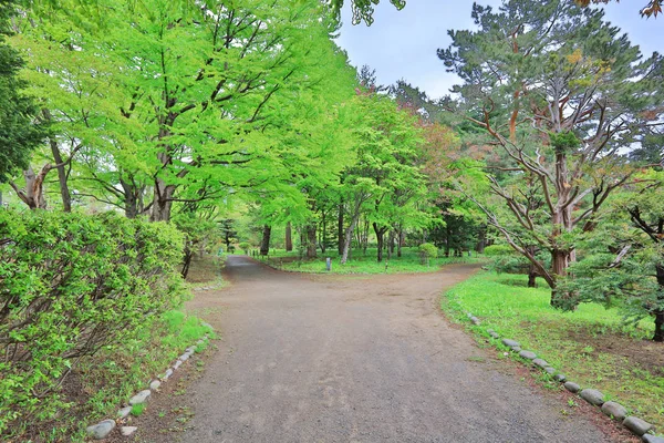 Накадзіма парк у Sapporo, Хоккайдо, Японія — стокове фото