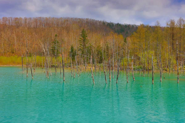 Hokkaido, Japonya Biei, mavi su birikintisi