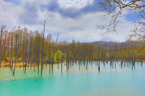 Hokkaido, Japonya Biei, mavi su birikintisi