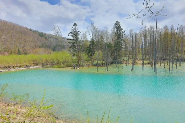 Biei 'de mavi gölet Aoas, Hokkaido