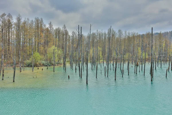 Biei 'de mavi gölet Aoas, Hokkaido