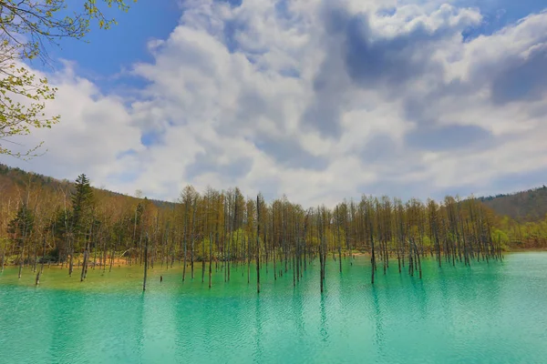 Niebieski staw Aoiike w Biei, Hokkaido, Japonia — Zdjęcie stockowe