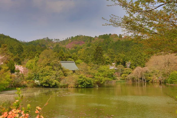 Kyoto, Japonya bahar Ryoanji Temple'nın gölet.