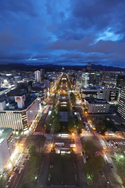 Városkép panorámás kilátás nyílik déli Sapporo — Stock Fotó
