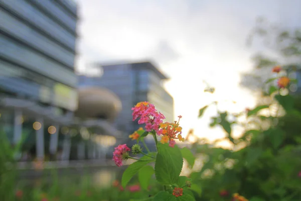 Science Park är en vetenskap i Hk 2010 — Stockfoto