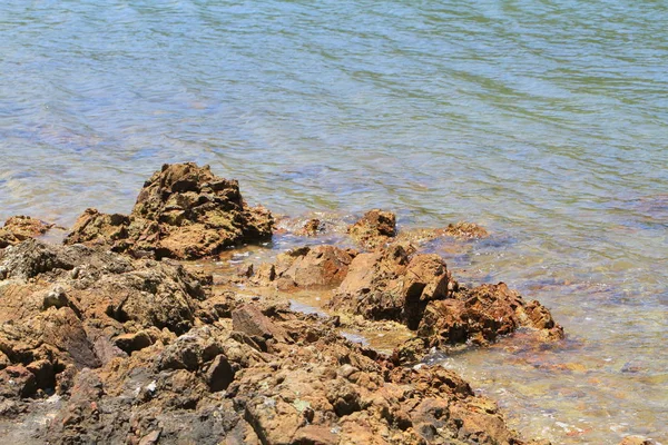 Jambon Tin, doğa viw sai, kung Country Park