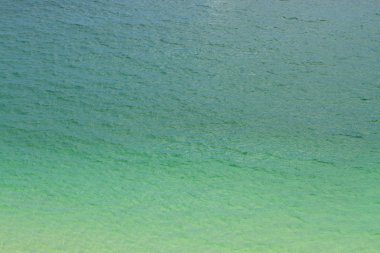 Jambon teneke Wan, sai kung