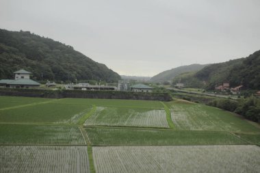 Tren Yamaguchi, çiftlik görünümünden 