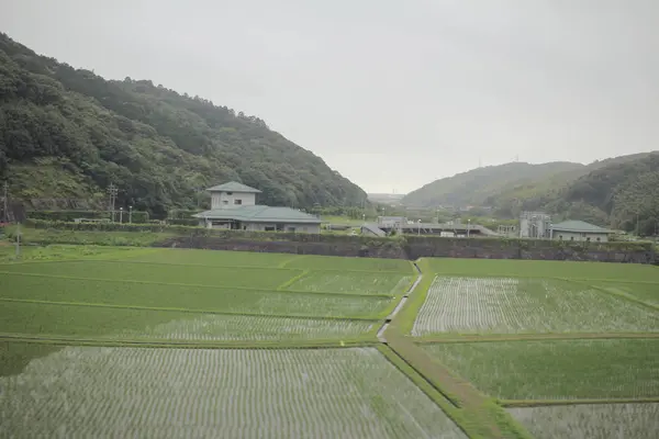 De weergave van de boerderij uit de trein op Yamaguchi — Stockfoto
