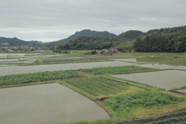 Tren Yamaguchi, çiftlik görünümünden 