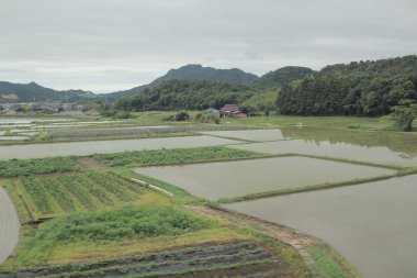 Tren Yamaguchi, çiftlik görünümünden 