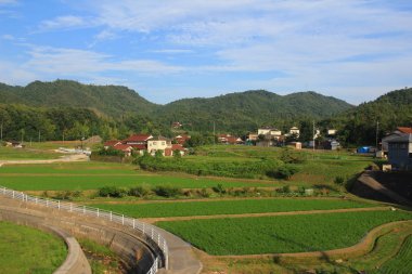 Şehir Hiroşima'geleneksel mimarisi ile
