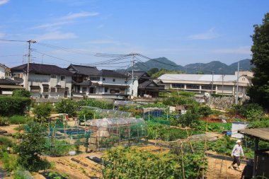 Tren penceresinden, Hiroşima görüntülemek
