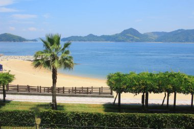 güzel bir kumsal resmi 