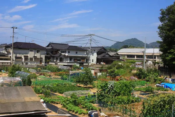 Tren penceresinden, Hiroşima görüntülemek