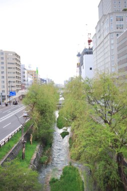 Soseigawa çapraz şehir Sapporo Japonya 