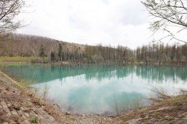 Biei, Shirogane'deki Mavi Gölet. Hokkaido alınan, 
